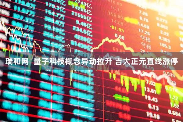 瑞和网  量子科技概念异动拉升 吉大正元直线涨停