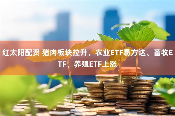 红太阳配资 猪肉板块拉升，农业ETF易方达、畜牧ETF、养殖ETF上涨