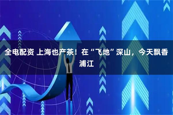 全电配资 上海也产茶！在“飞地”深山，今天飘香浦江